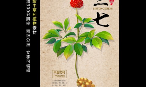 三七最近价格走势-【三七最近价格是多少】三七市场价多少 - 三七最近价格网