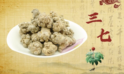 三七最新价格-【三七最近价格是多少】三七市场价多少 - 三七最近价格网