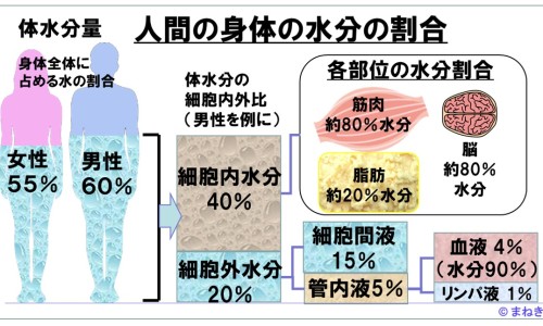 三七最近价格走势-【三七最近价格是多少】三七市场价多少 - 三七最近价格网